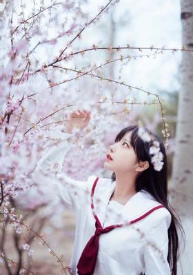 完美组合
